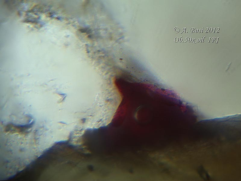 luce riflessa   vs   luce trasmessa